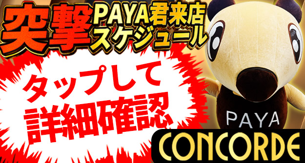 625×335px_CONCORDE-PAYA